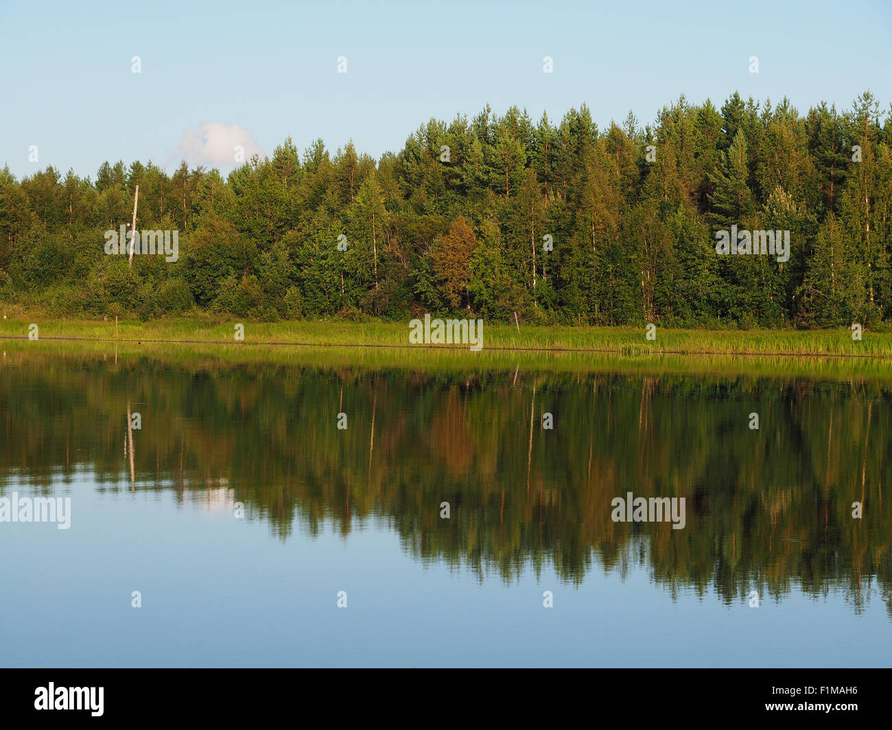 river in summer. Russia Stock Photo - Alamy