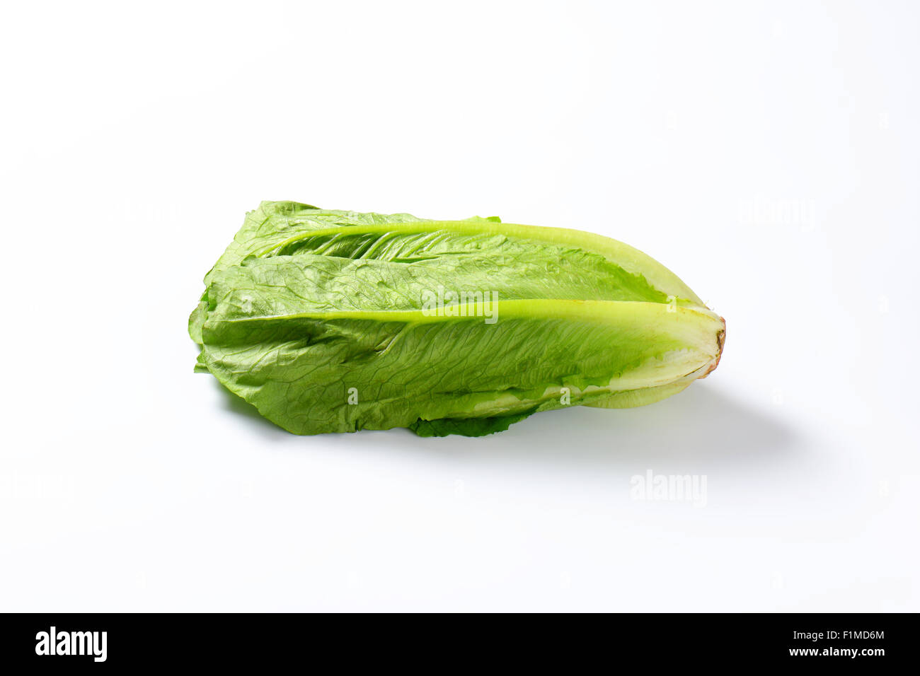 head of romaine lettuce on white background Stock Photo Alamy