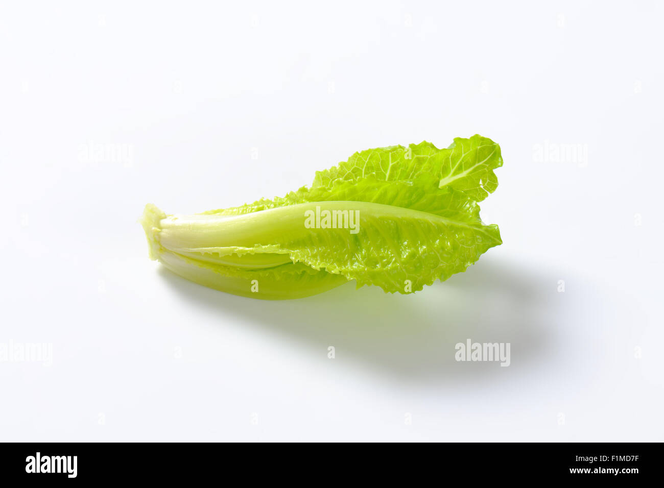 heart of romaine lettuce on white background Stock Photo Alamy