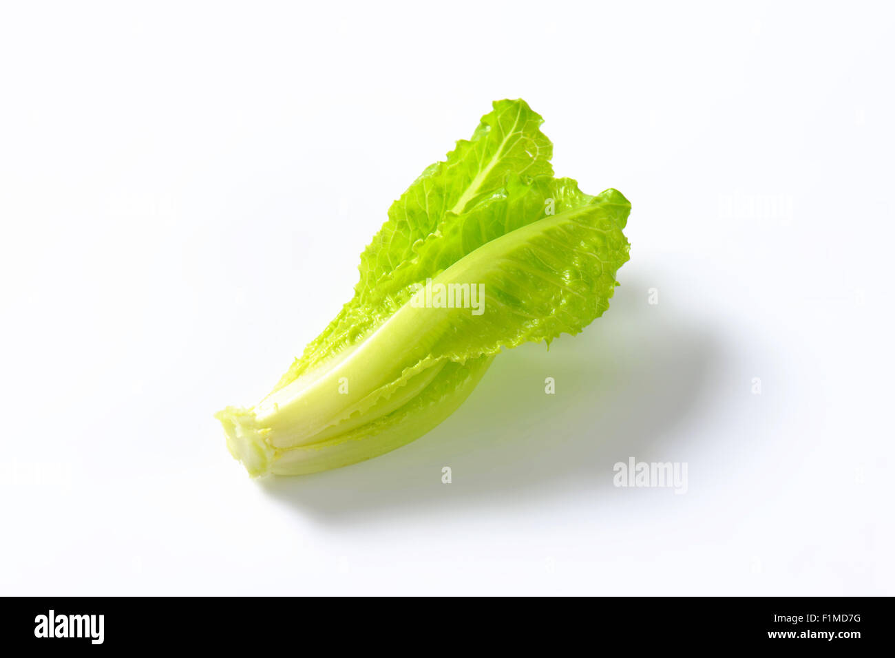 heart of romaine lettuce on white background Stock Photo Alamy