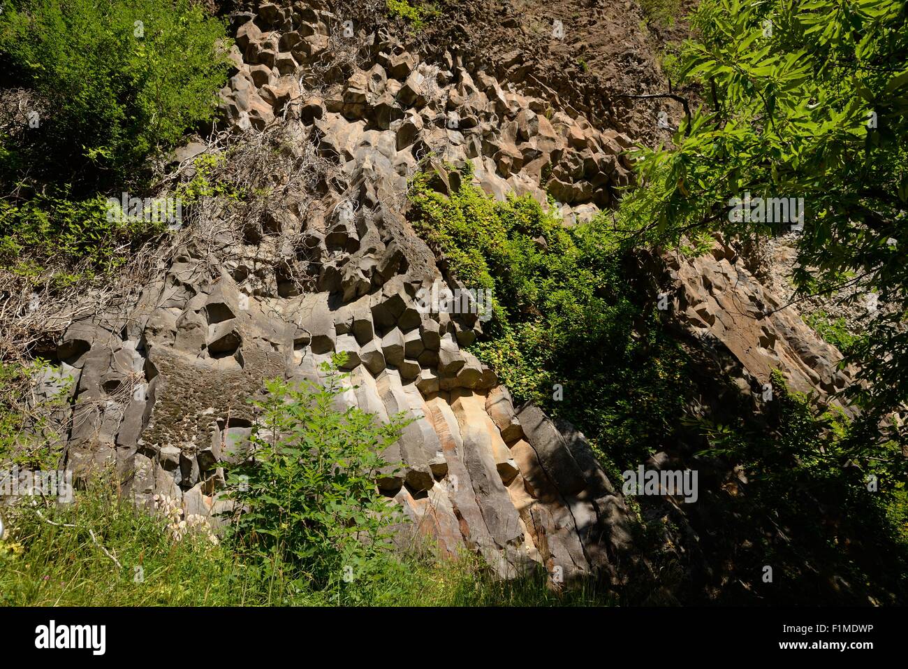 Basaltic columns of Thueyts Stock Photo