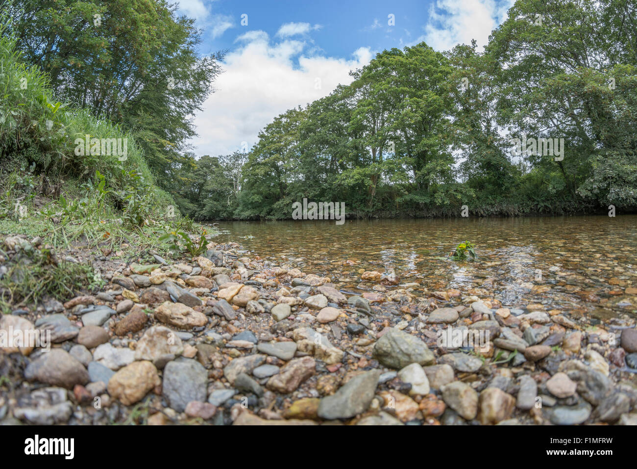 Commodity trading hires stock photography and images Alamy