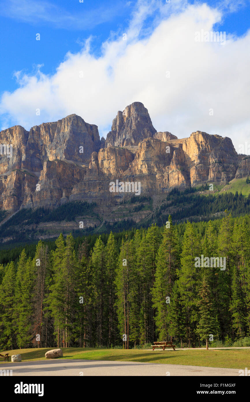 Canada, Alberta, Banff National Park, Castle Mountain, pine forest, Stock Photo