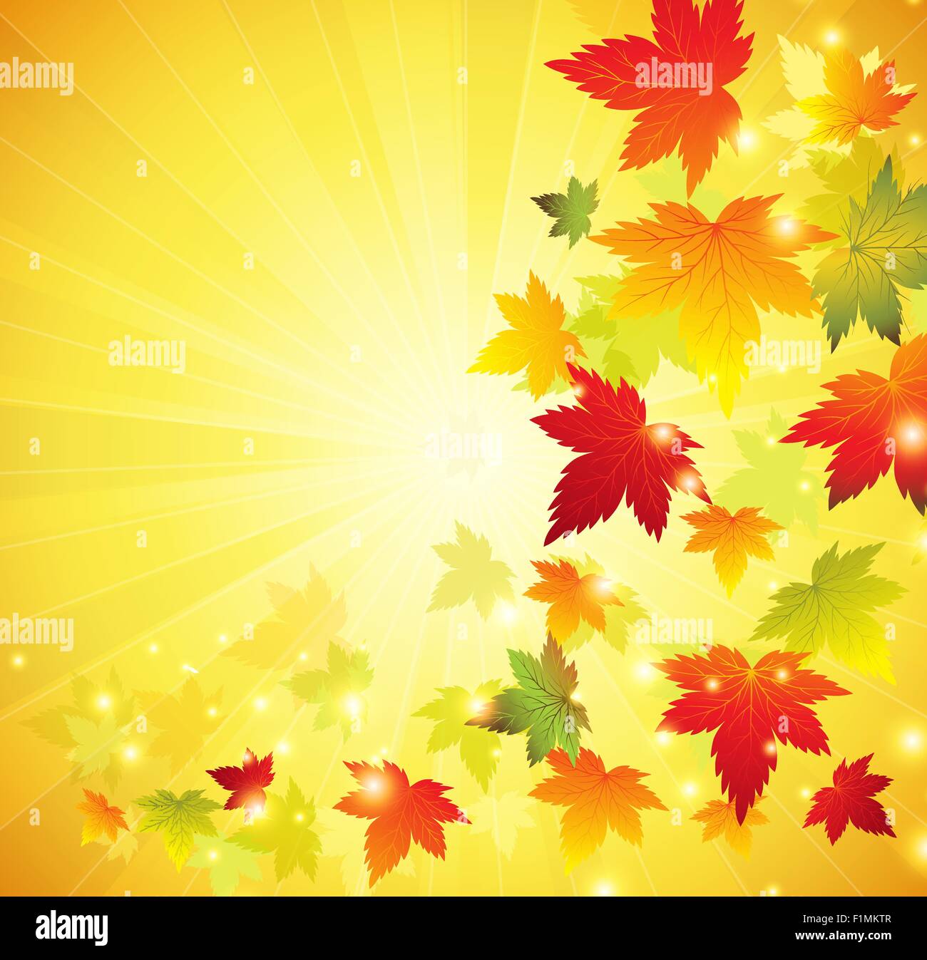 Autumn Maple Leaves Background Stock Vector Image & Art - Alamy