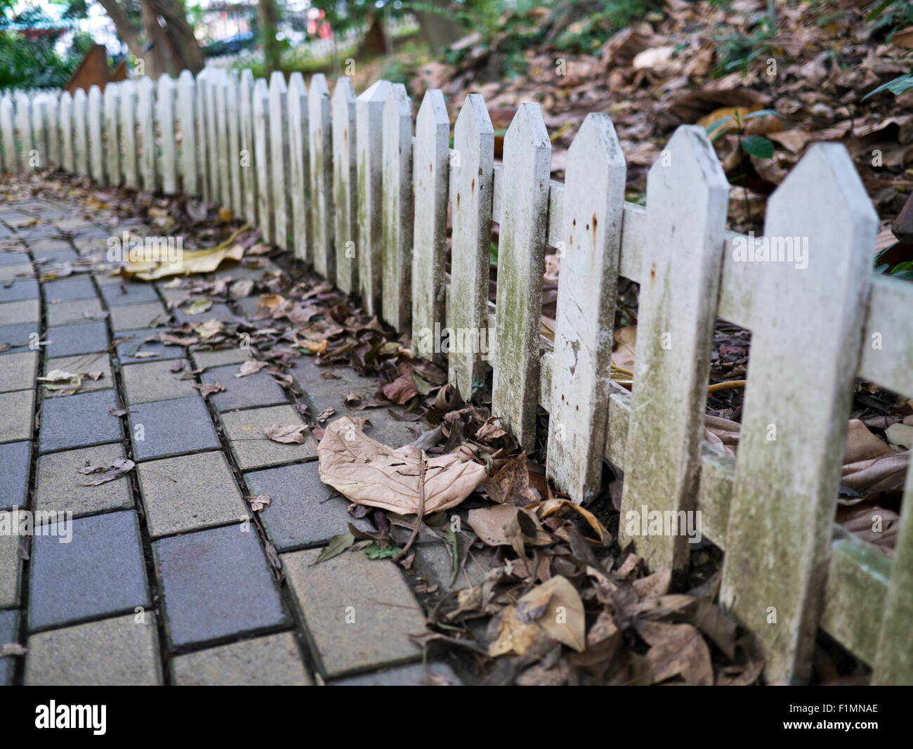 Wooden garden fence panel hi-res stock photography and images - Alamy
