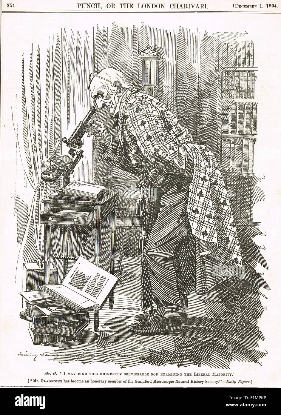 1894 Liberal Microscopic Majority Joke cartoon from Punch Stock Photo