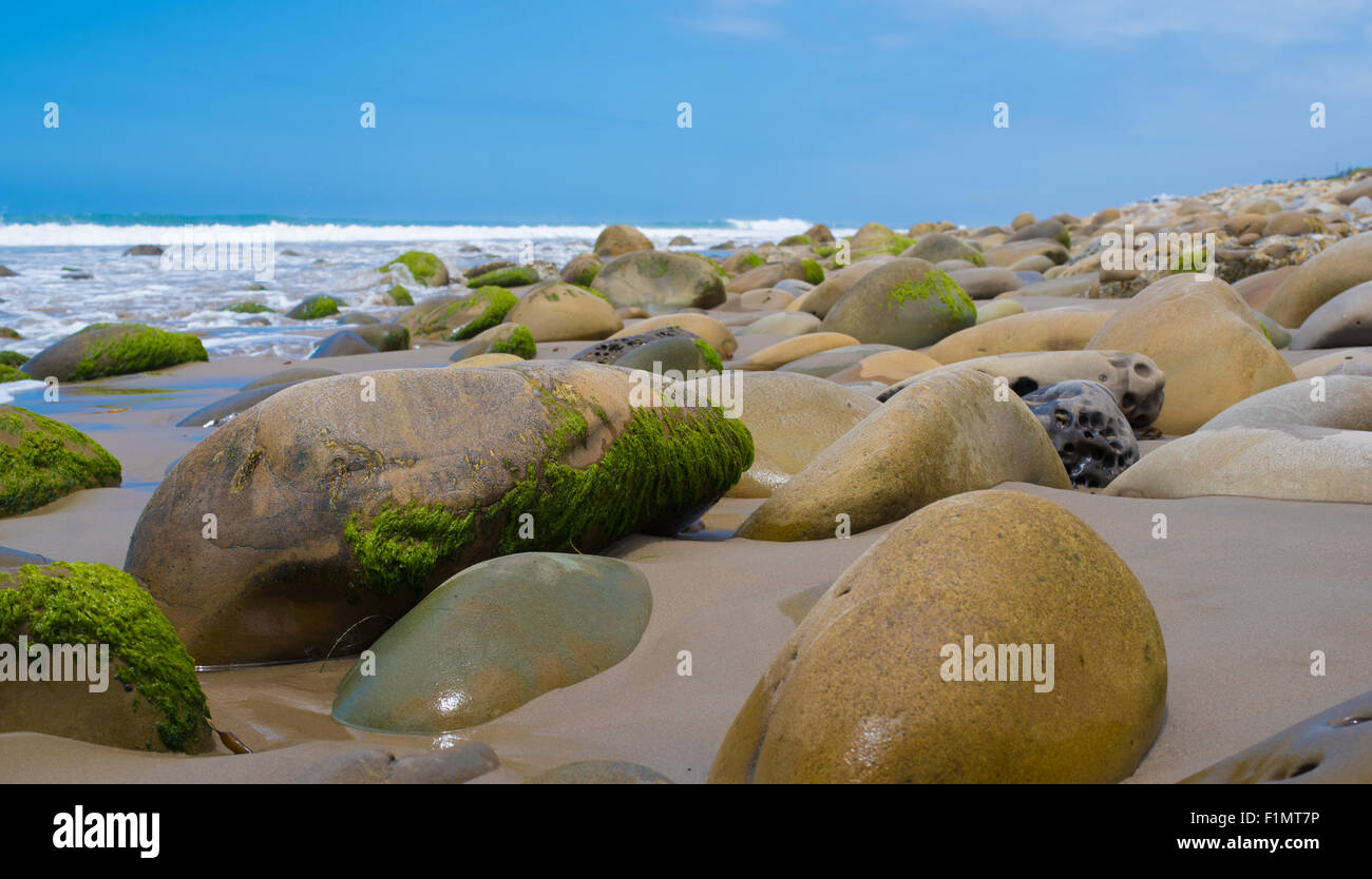 A seascape with moss covered rock on California coast Stock Photo
