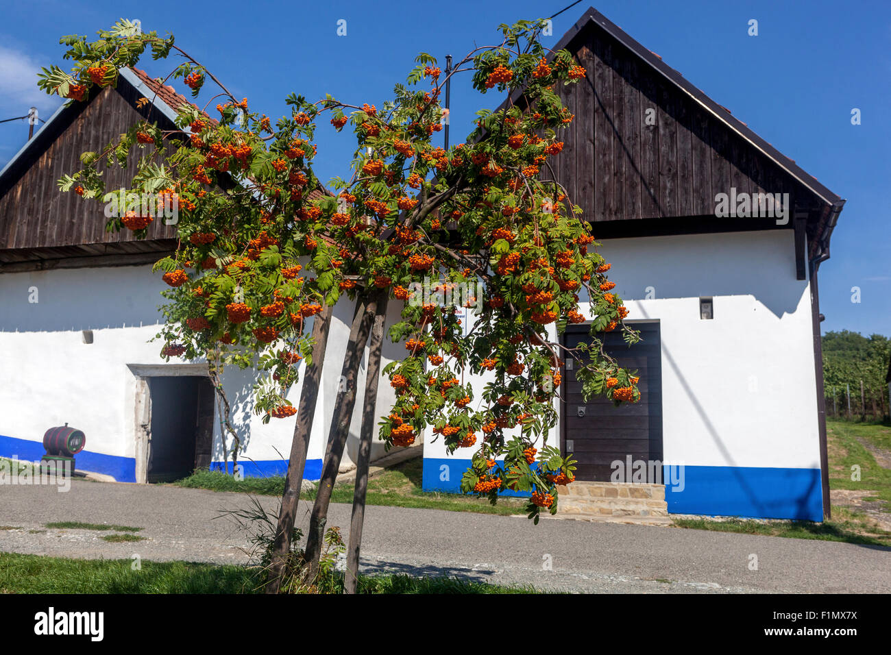Wine cellars, Blatnice pod Svatym Antoninkem, Region Slovacko, South Moravia Czech Republic, Europe Stock Photo