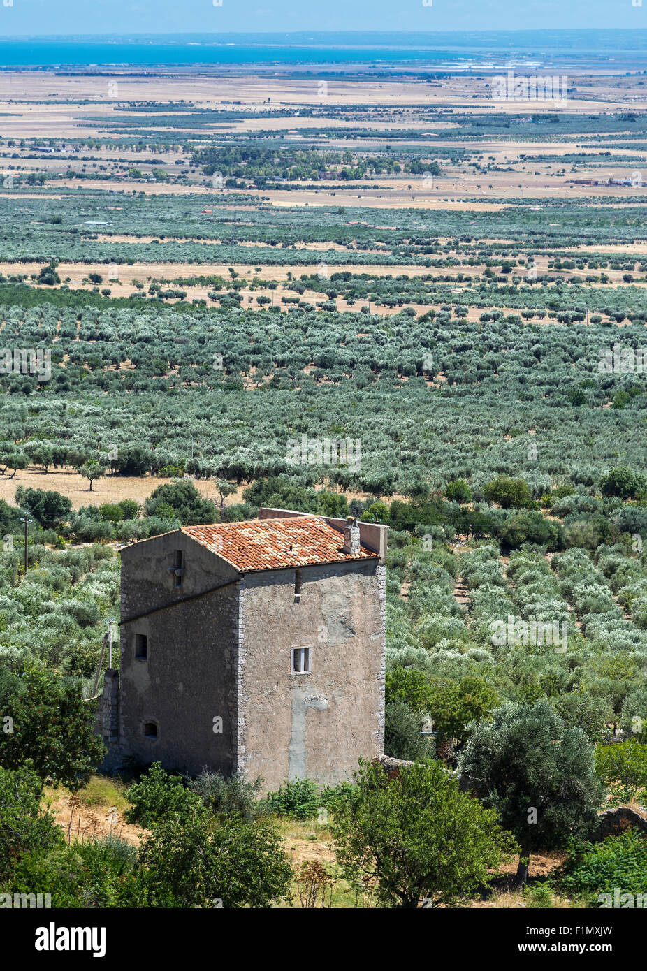 Tower house between Rignano Garganico and San Giovanni Rotondo in the Tavoliere area of Foggia province,  Gargano Peninsula, Pug Stock Photo