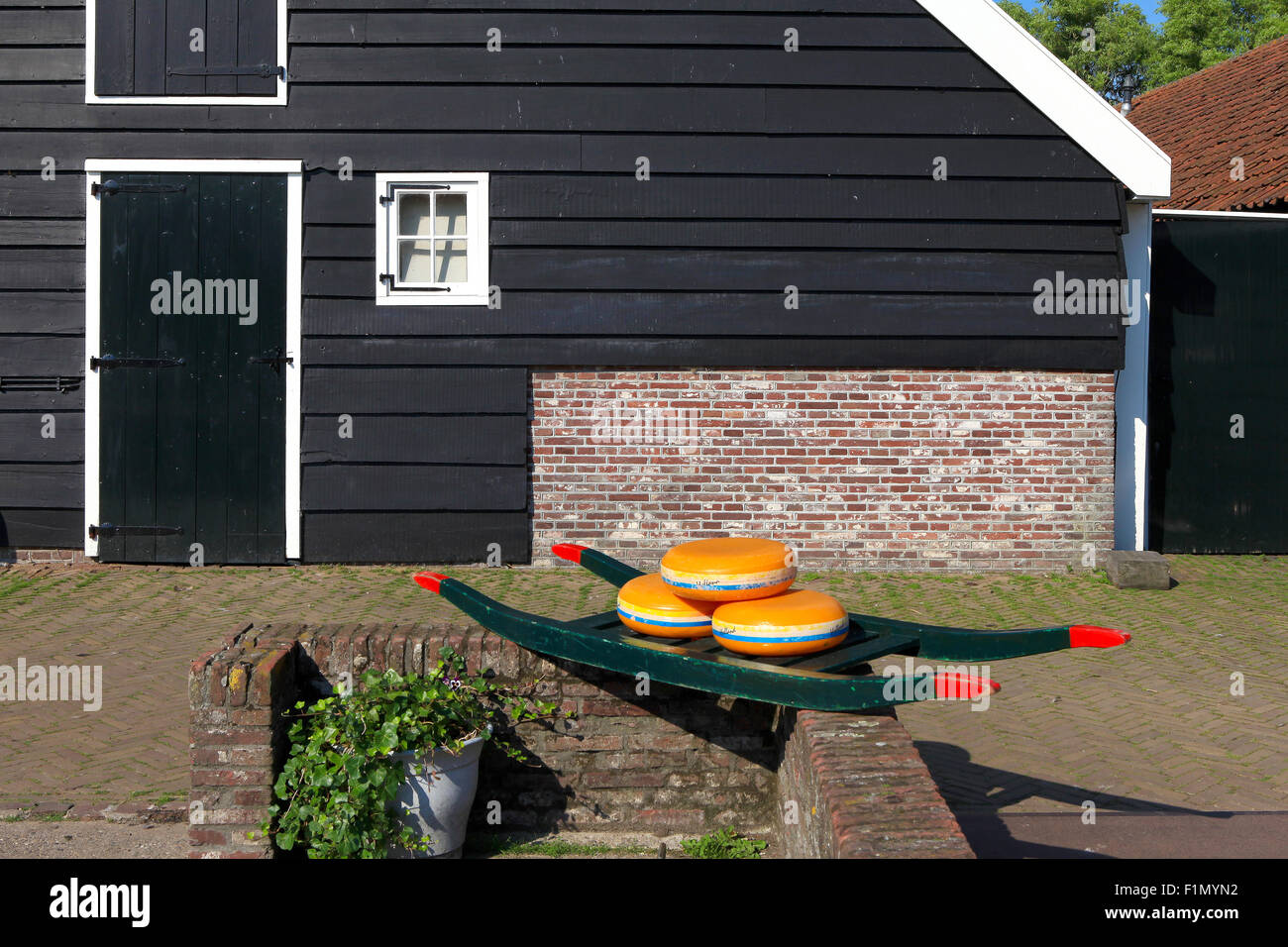 Dutch Cheese wheels on a green cart with farm house in the background Stock Photo