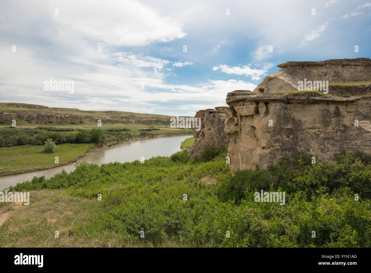 Eroded sandstone cliffs and hoodoos overlooking the Milk River in