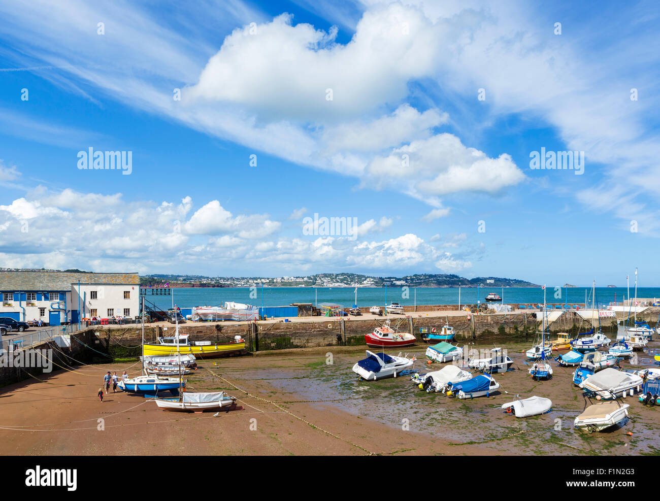 The harbour in Paignton at low tide, Torbay, Devon, England, UK Stock