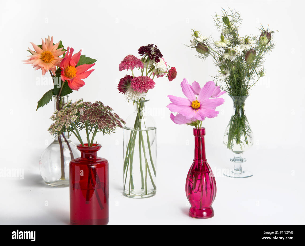 vases of summer flowers isolated on white background Stock Photo - Alamy