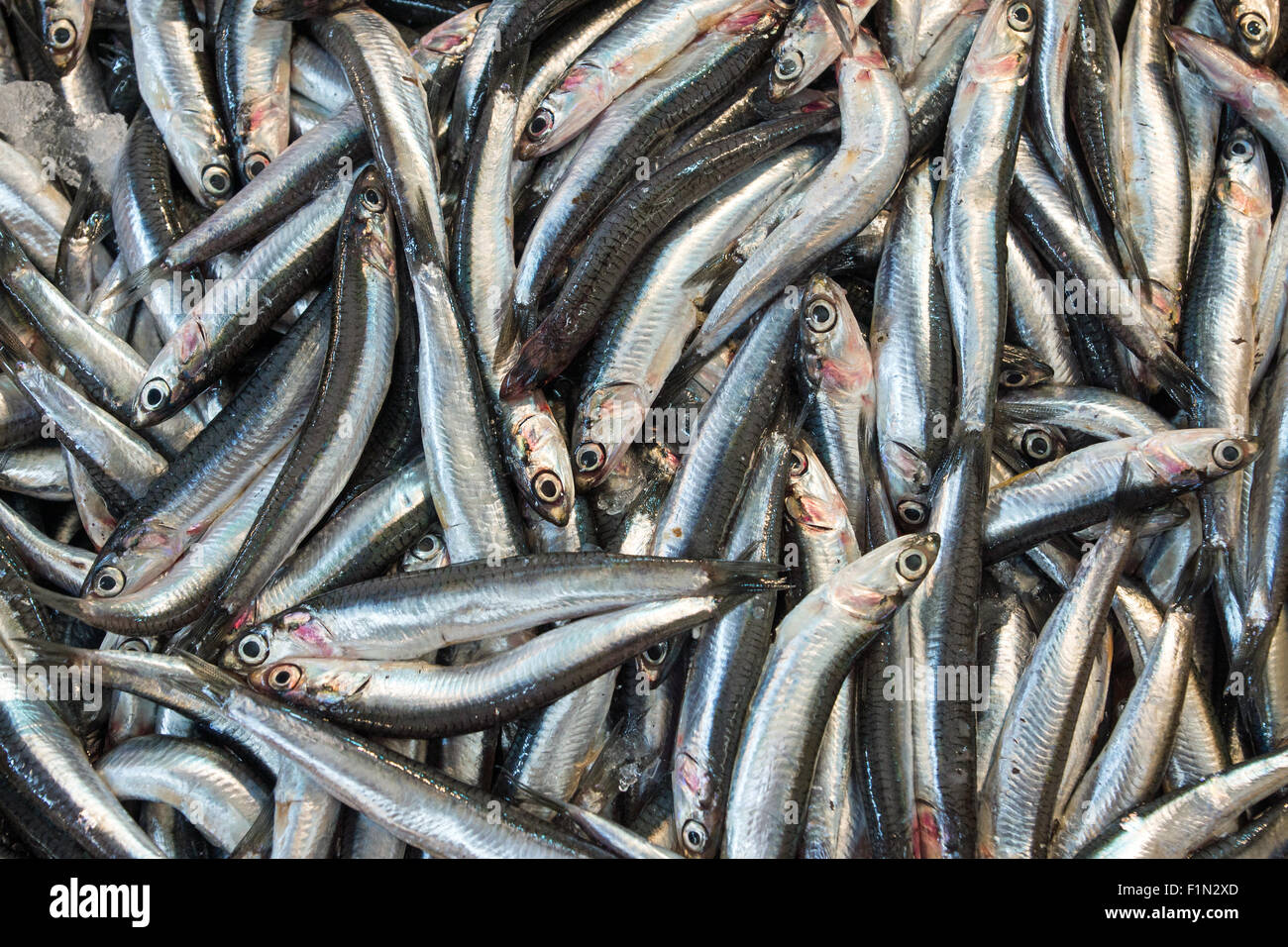 Anchovies for sale on the fish market Stock Photo Alamy