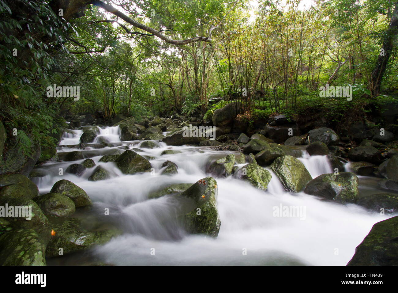 natural balian stream in Taiwan Stock Photo - Alamy