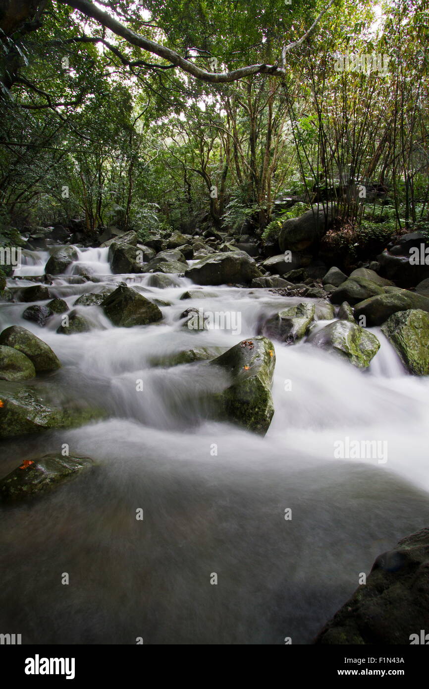 natural balian stream in Taiwan Stock Photo - Alamy