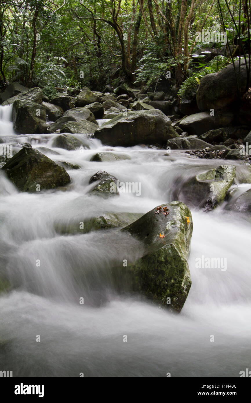 natural balian stream in Taiwan Stock Photo - Alamy