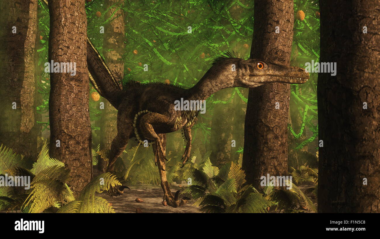 Velociraptor dinosaur observing in a araucaria tree forest - 3D render Stock Photo