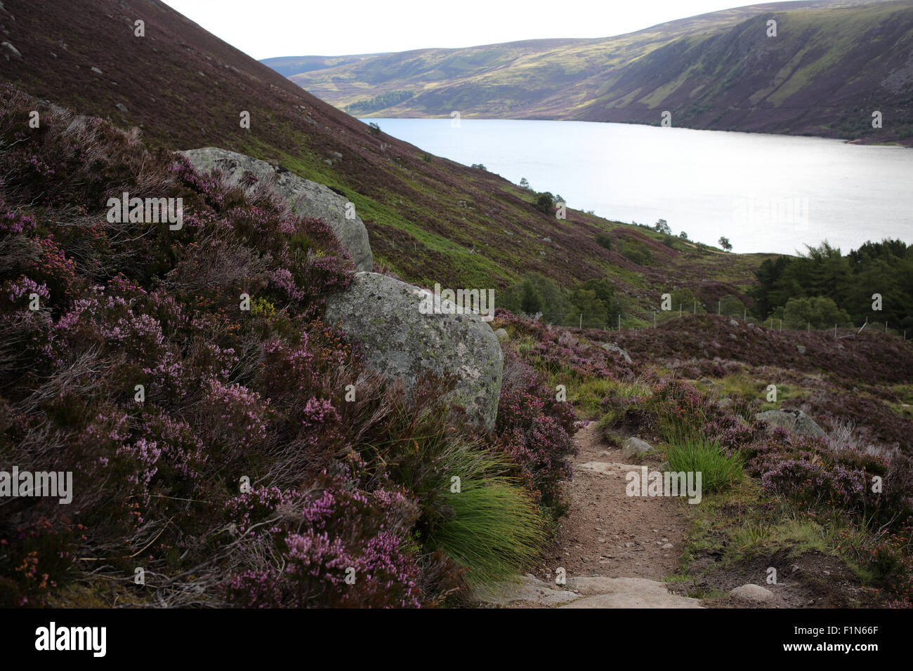 Views of loch Muick from path between Glas-allt Shiel house and the Glas Allt Falls - Aberdeenshire - Scotland - UK Stock Photo