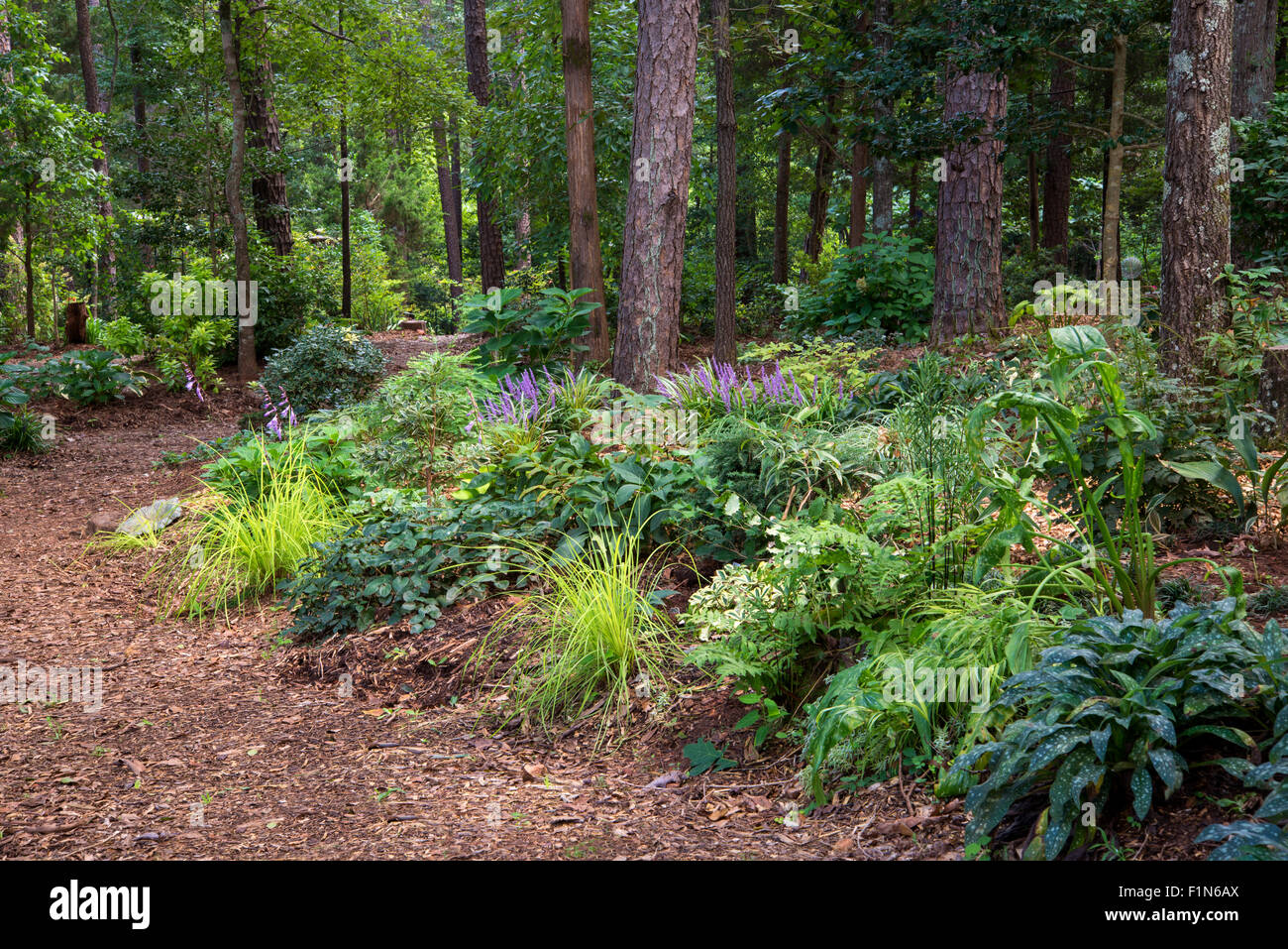 Fall GArden in the Southeast US Stock Photo