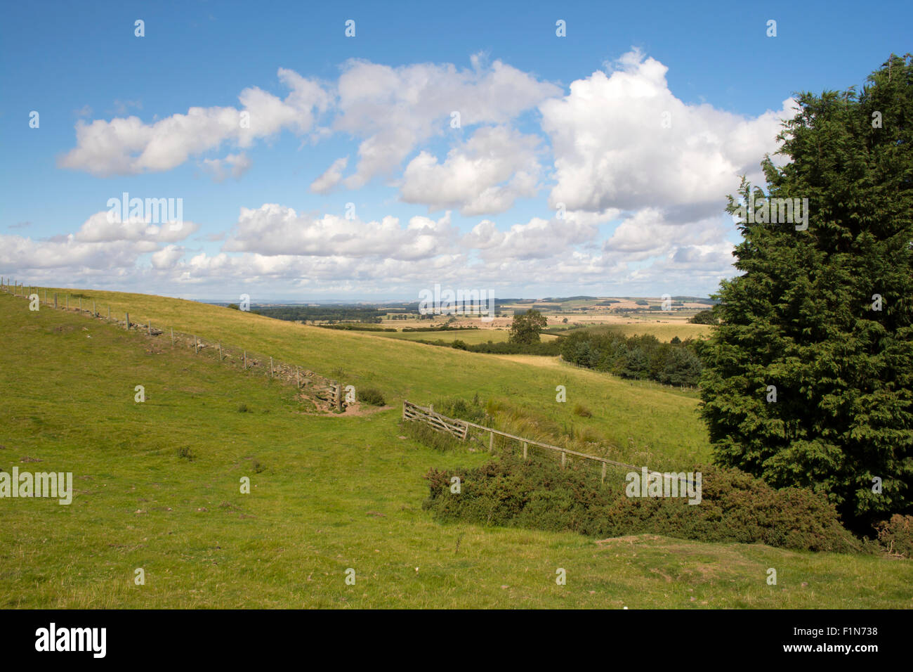 Wooler northumberland hires stock photography and images Alamy
