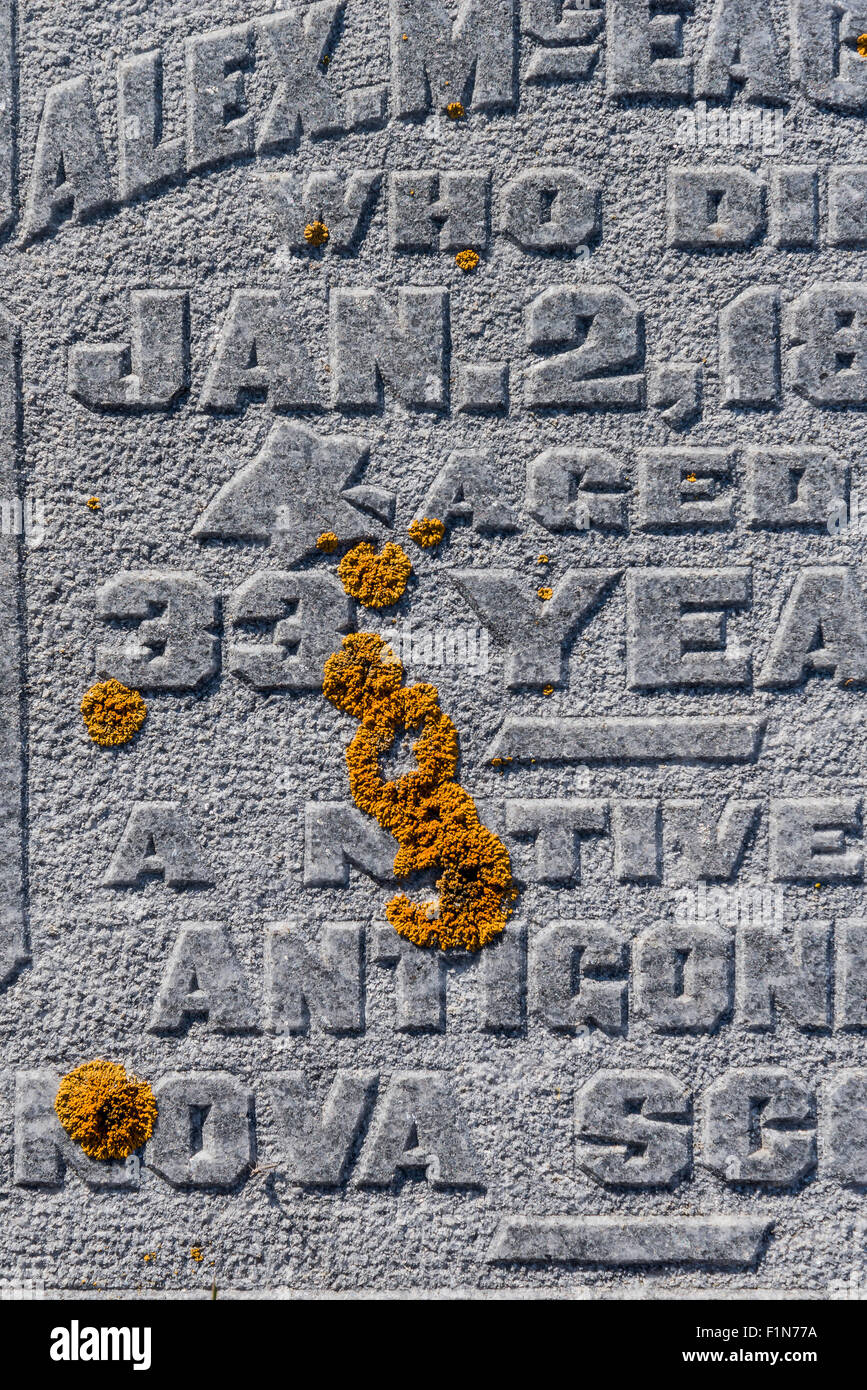 Detail grave site headstone with lichen,   Nicola Valley, British Columbia, Canada. Stock Photo