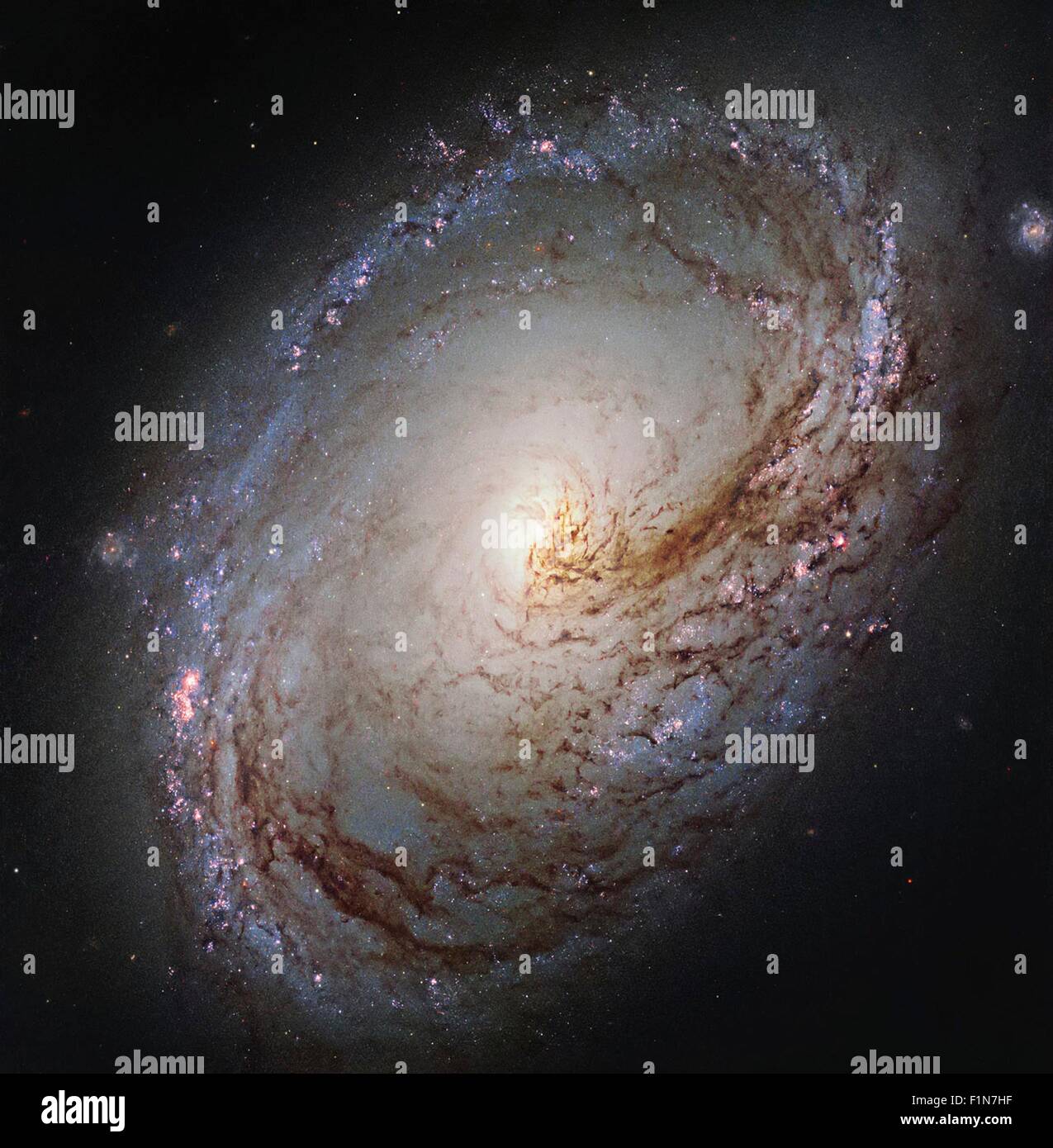 Hubble Space Telescope image shows Messier 96, a spiral galaxy just over 35 million light-years away in the constellation of Leo. The galaxy resembles a giant maelstrom of glowing gas, rippled with dark dust that swirls inwards towards the nucleus. Stock Photo