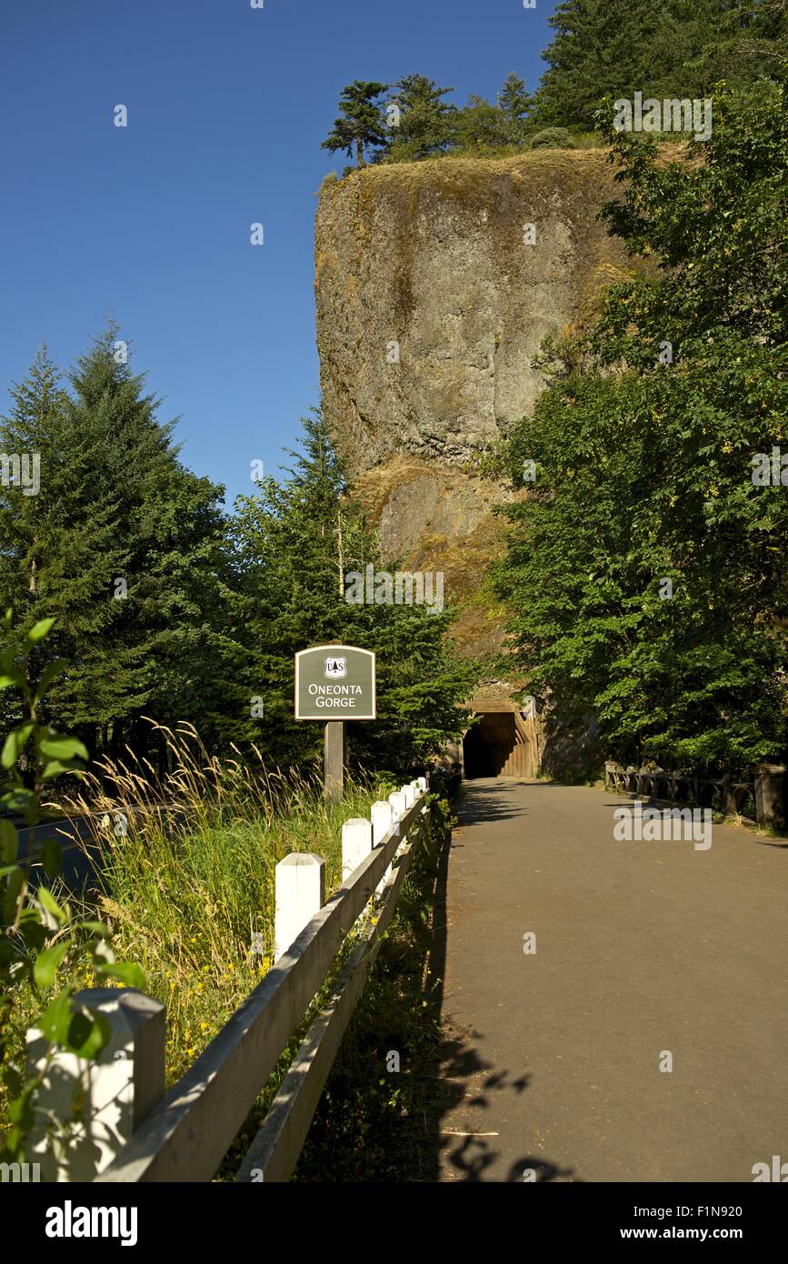Oneonta Gorge Tunnel Vertical Photogrpahy. Oregon, United States. Stock Photo