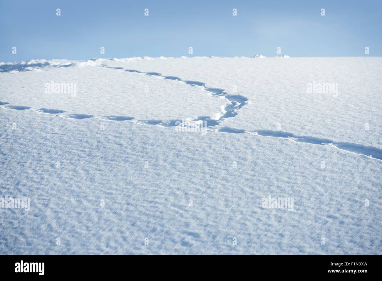 Footprints in the Fresh Snow. Snowy Hill. Stock Photo