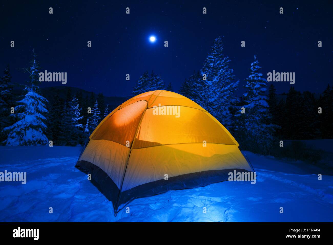 Winter Tent Camping in Colorado Wilderness. Cold Snowy High Country Night in Small Orange Tent. Stock Photo