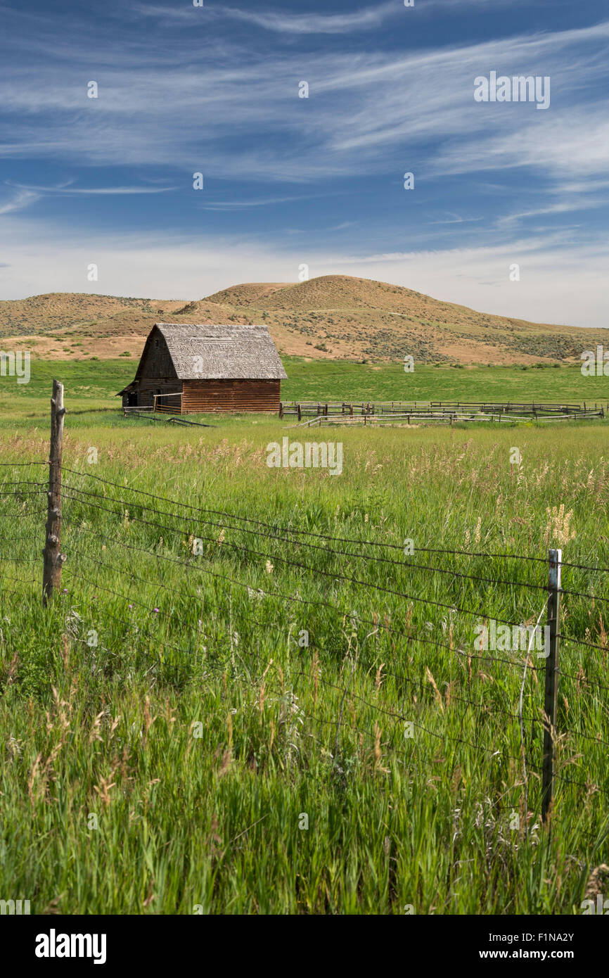 Axial, Colorado - Colorado ranch. Stock Photo