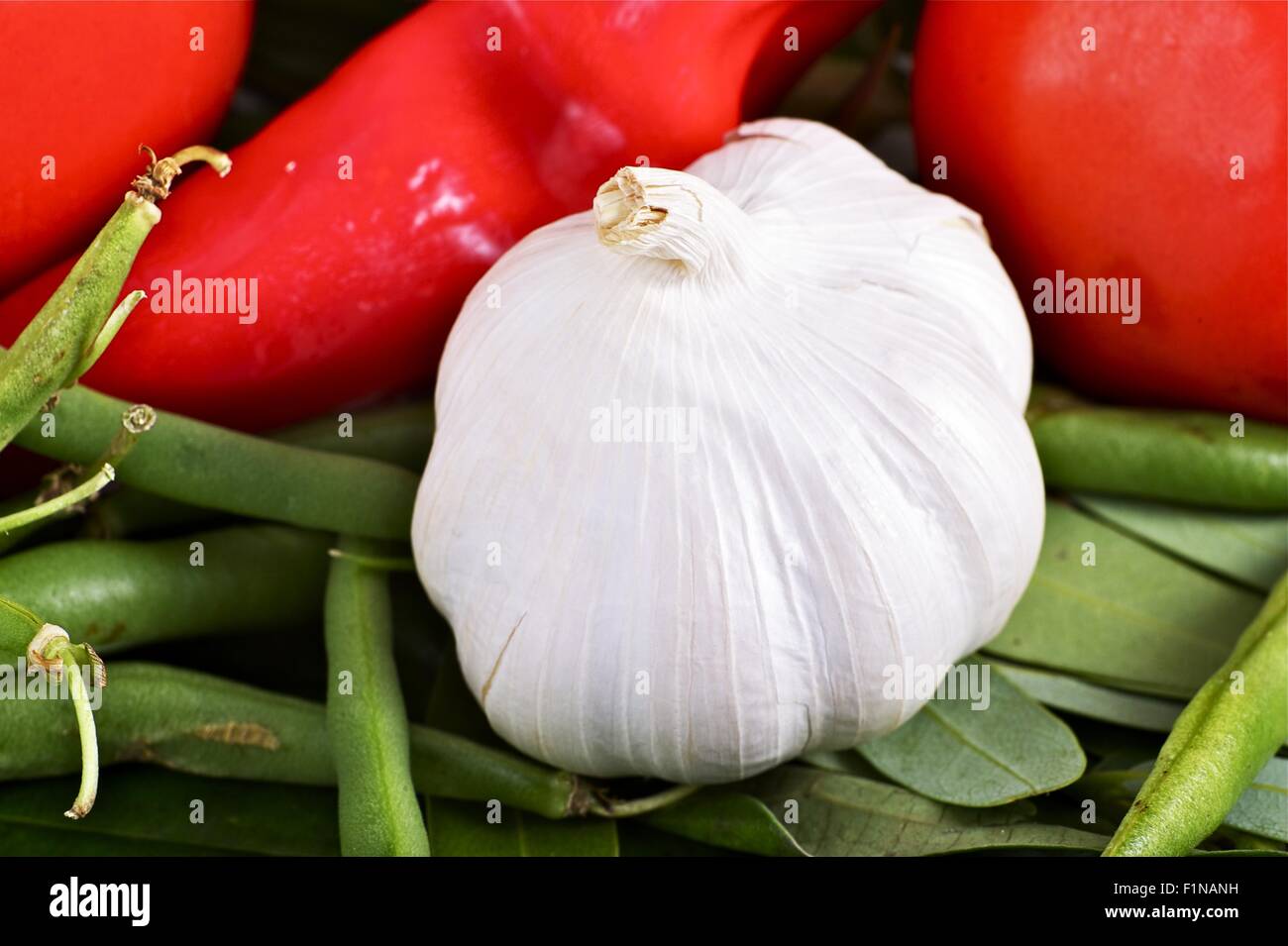 Organic Garlic and Other Vegetables: Green Beens and Tomatoes. Vegetables Photo Collection. Stock Photo