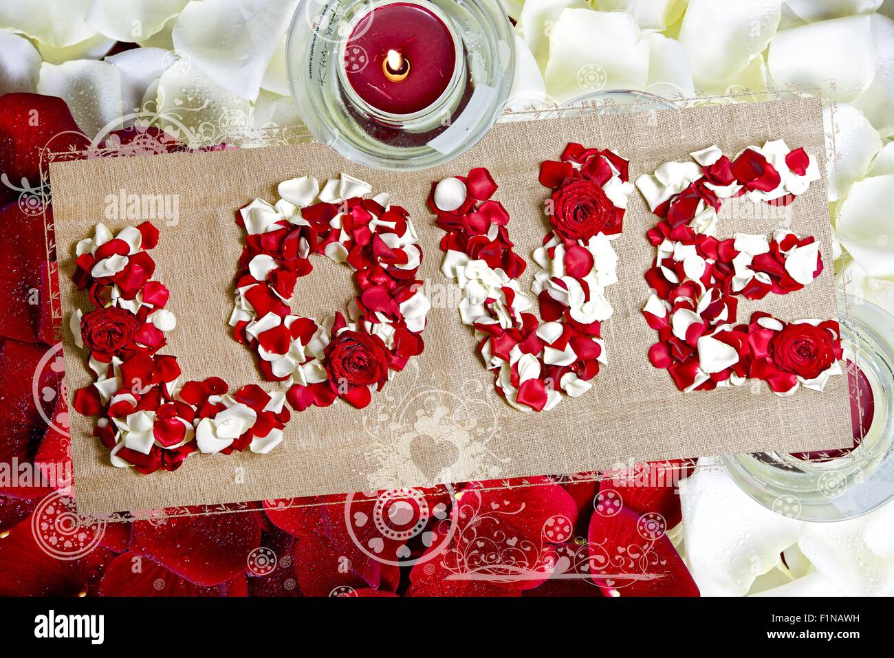 Love Postcard Valentine S Day Theme Red And White Roses Petals