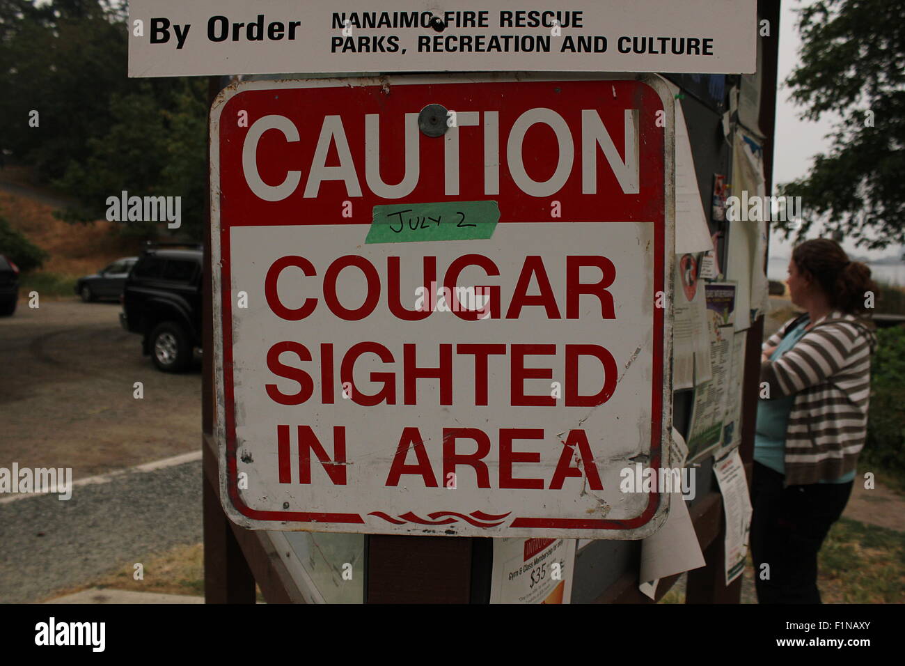 Cougar sighting warning sign at a park in Nanaimo, British Columbia Stock Photo