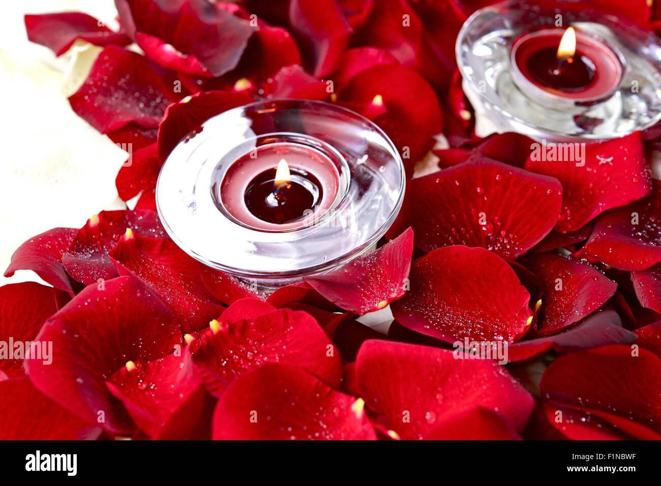 Red and White Rose Petals and Glass Candles Decoration Theme Stock
