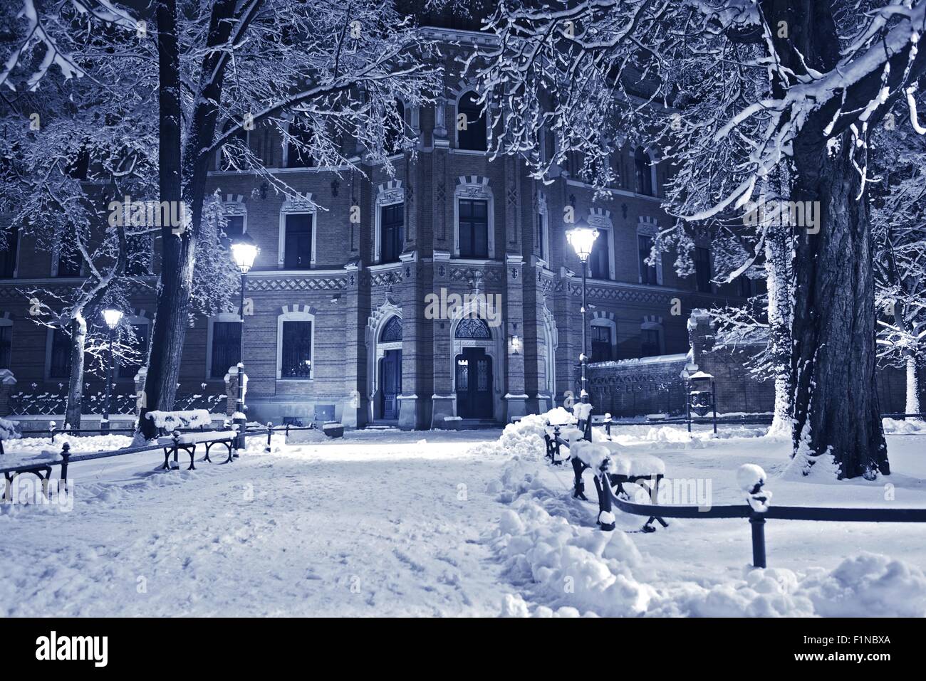 Old Park in Winter. Night in the European Park. Nature Collection Stock Photo