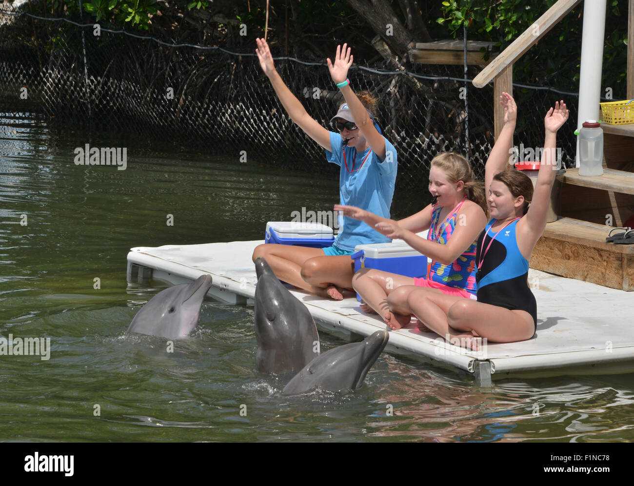Participants in the dolphin trainer program at the Dolphin Research Center in Grassy Key Florida USA Stock Photo