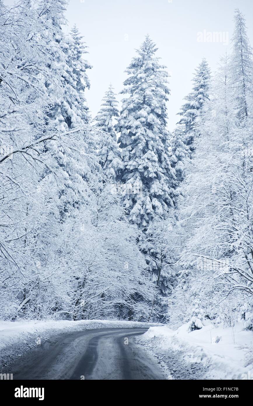Winter seasonal landscape hi-res stock photography and images - Alamy