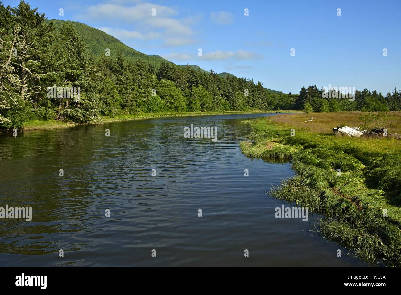 Northern California State River. California, USA. Beautiful Summer ...
