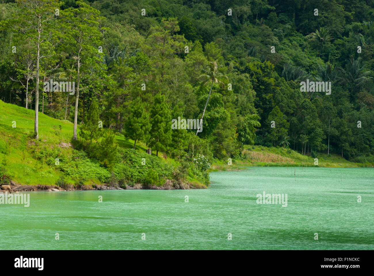 A scenery of Lake Linow, a volcanic lake in Lahendong, South Tomohon, Tomohon, North Sulawesi, Indonesia. Stock Photo