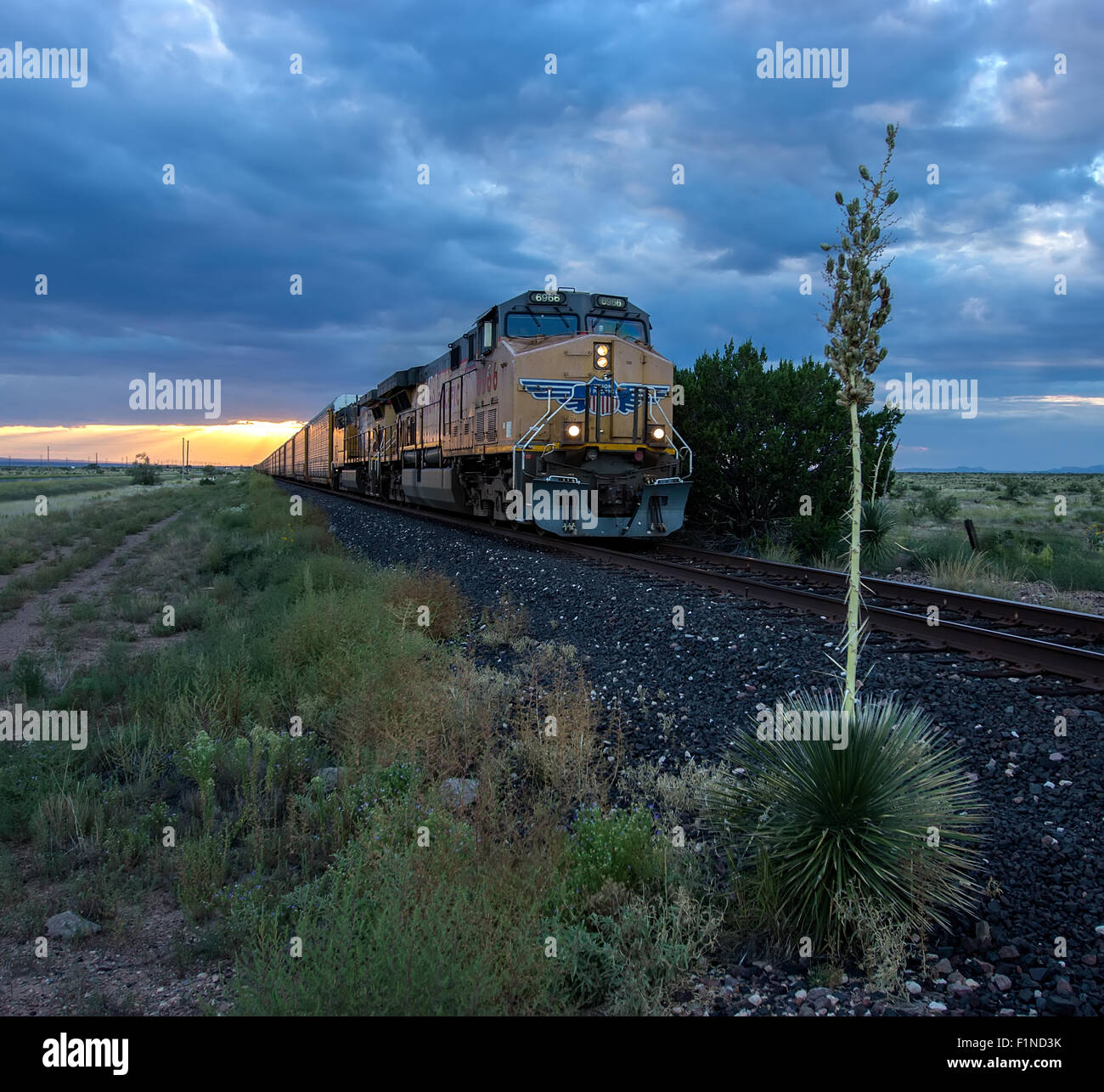 Union Pacific train in West Texas. Stock Photo