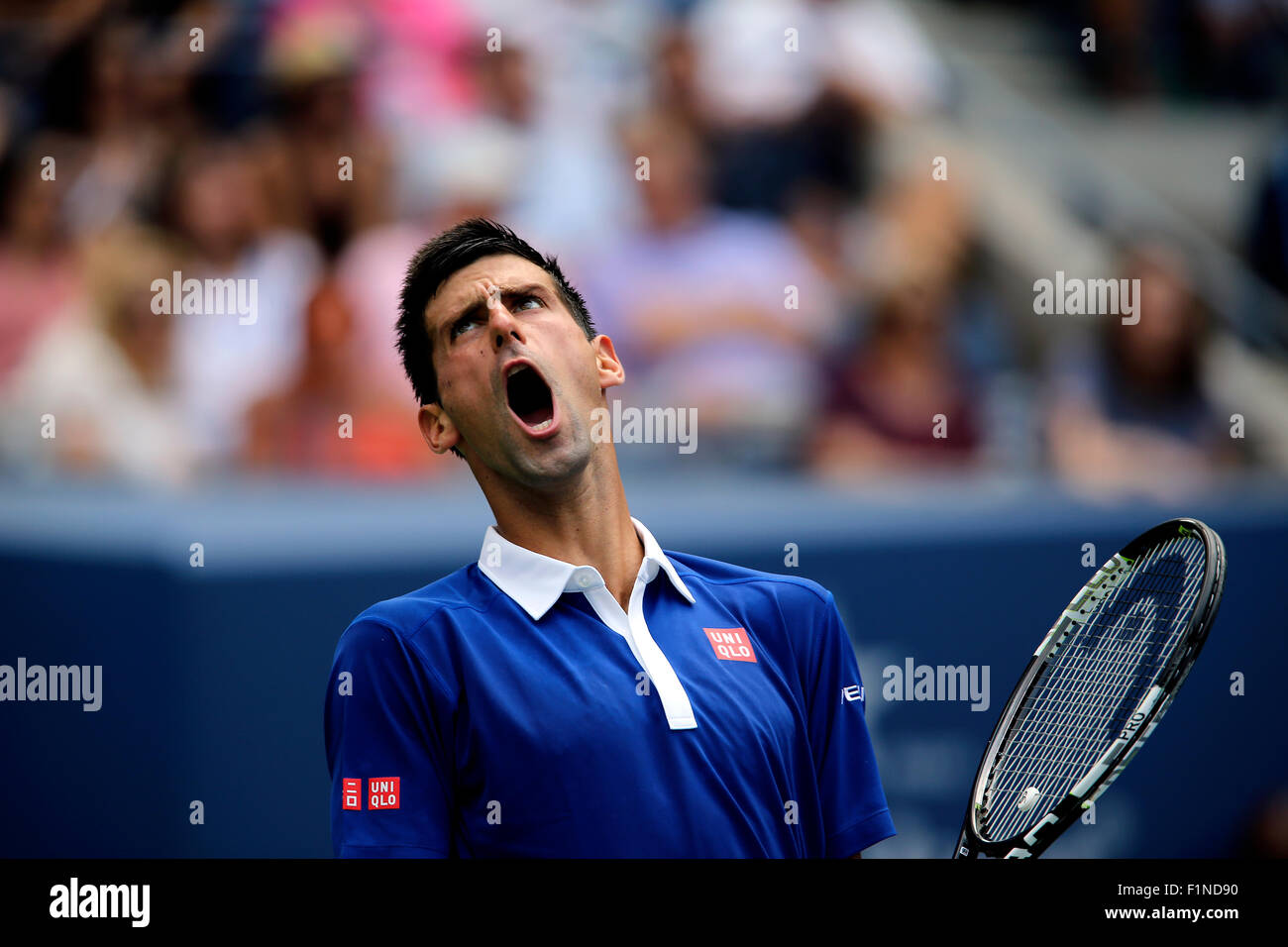 New York, USA. 4th September, 2015. Novak Djokovic reacts to a shot during his third round match against Andreas Seppi of Italy at the U.S. Open in Flushing Meadows, New York on September 4th, 2015. Credit:  Adam Stoltman/Alamy Live News Stock Photo