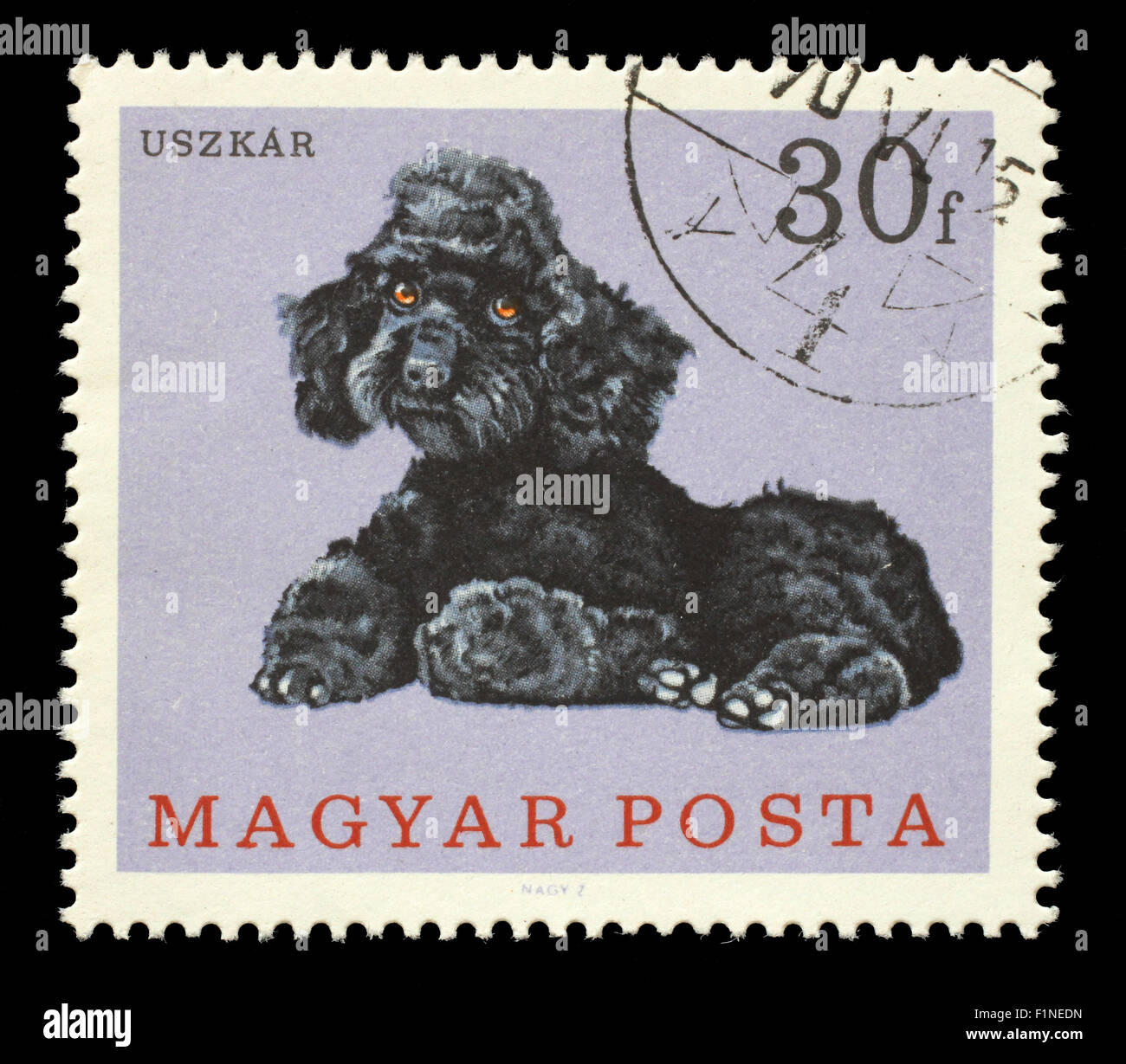 Stamp printed in Hungary showing dog, circa 1975 Stock Photo