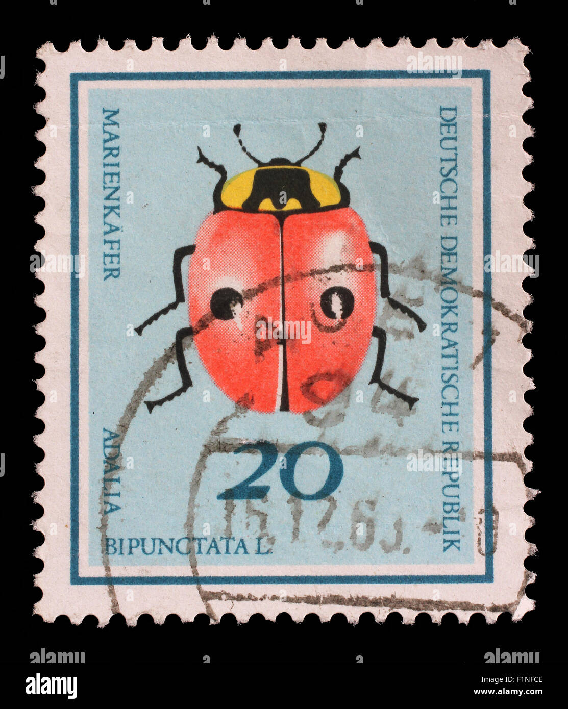 Stamp printed in Germany from the Useful Beetles issue shows two-spot ladybird beetle (Adalia bipunctata), circa 1968. Stock Photo