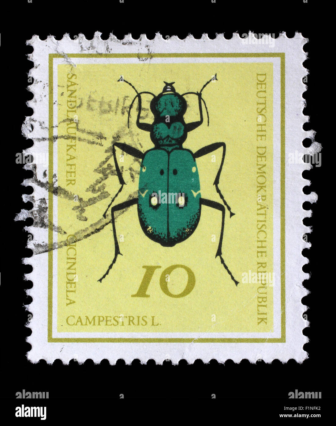Stamp printed in Germany from the Useful Beetles issue shows Green Tiger beetle (Cicindela campestris), circa 1968. Stock Photo