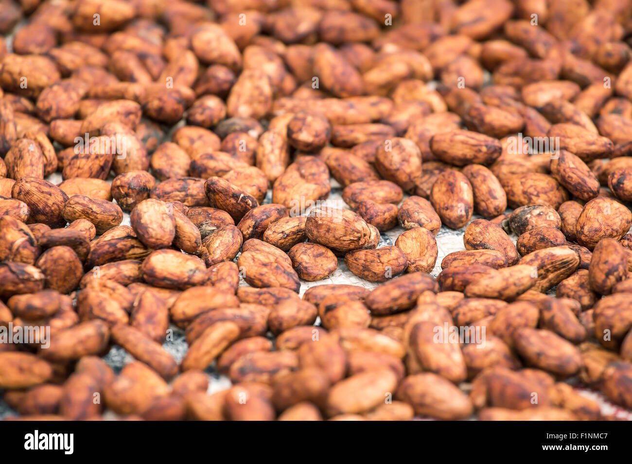 Raw cocoa beans background Stock Photo Alamy