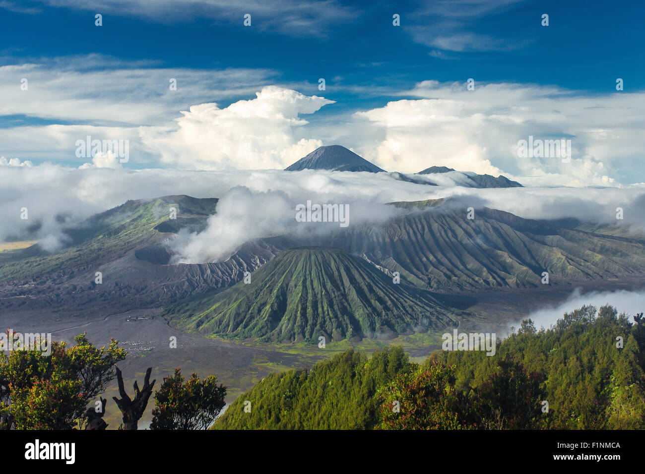 Mount Bromo and Batok volcanoes in Bromo Tengger Semeru National Park, East Java, Indonesia. Stock Photo