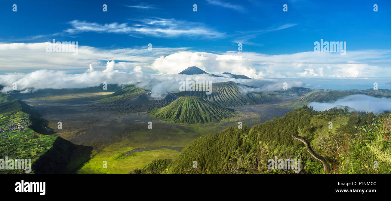 Mount Bromo and Batok volcanoes panorama in Bromo Tengger Semeru National Park, East Java, Indonesia. Stock Photo