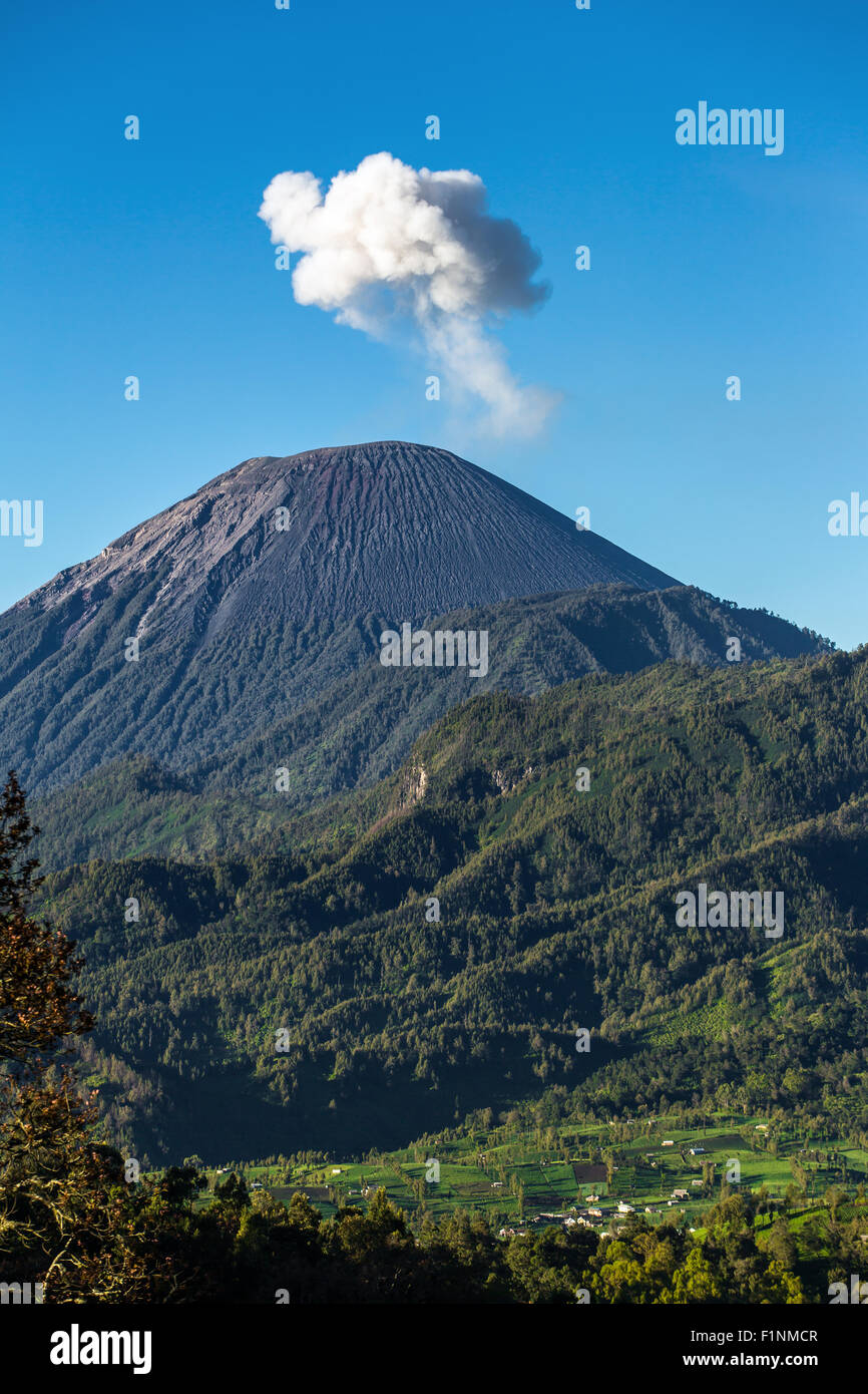 Ash cloud rising at Semeru Volcano Mountain, East Java, Indonesia Stock Photo