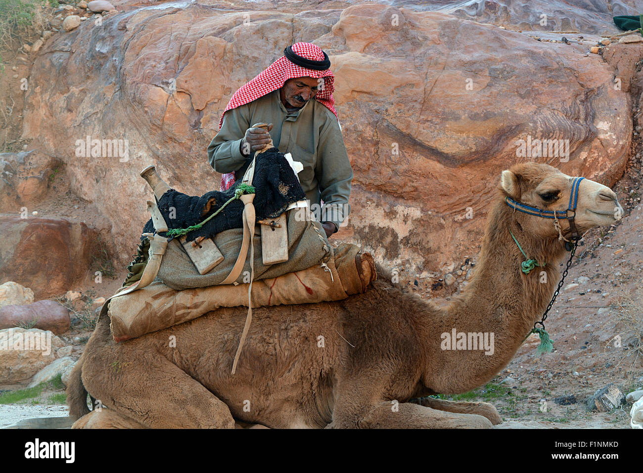 Arabs and camels collection Stock Photo - Alamy